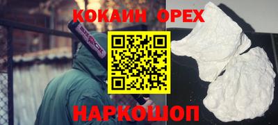 дмт Аргун