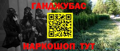 дмт Аргун