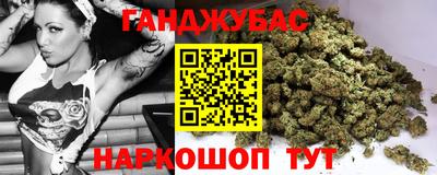 дмт Аргун