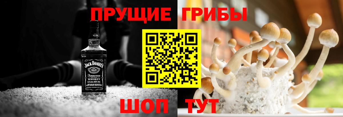 Верхняя Салда  Галлюциногенные грибы Psilocybine cubensis  Галлюциногенные грибы Magic Shrooms  Вход с VPN 
